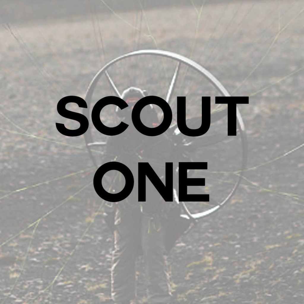 scout one at de